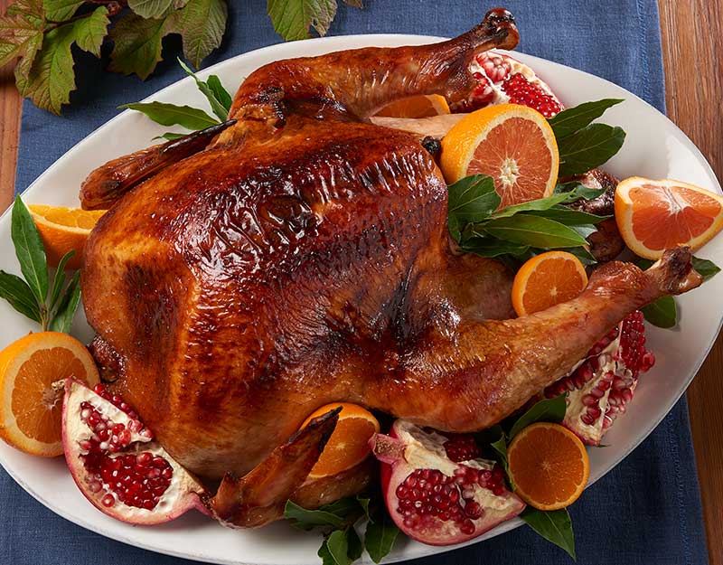 thanksgiving Turkey