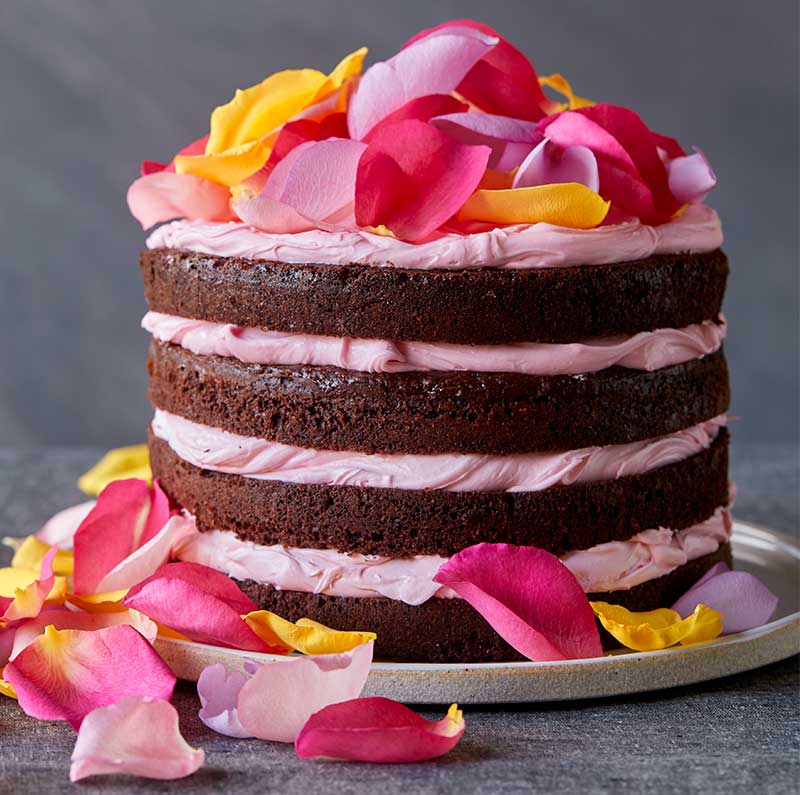 chocolate-rose-cake